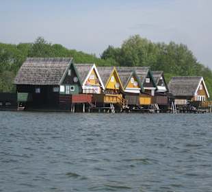 Inselsee Mecklenburgische Seenplatte