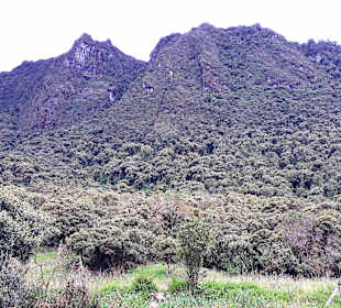 Rundweg „La Isla“ Path