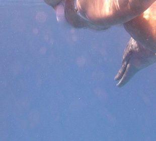 Ein unglaublicher Augenblick! Danke an J&M