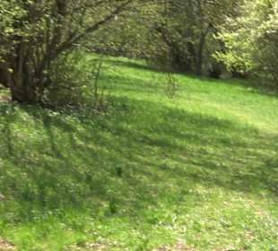 Rundweg am Beutenlay