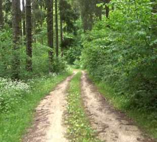 Burg Tiefental Aichstetten