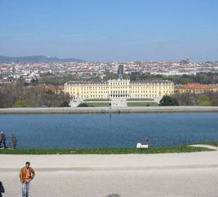 Blick auf Schönbrunn