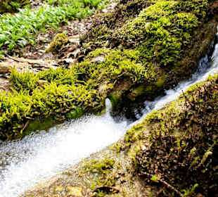 Kleiner Wasserfall