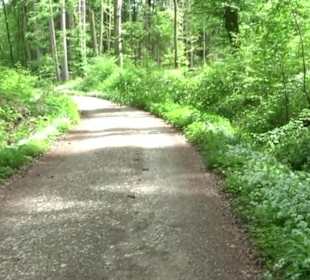 Naturpark Schönbuch