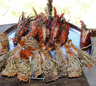 Es ist angerichtet...