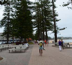 Manly Beach