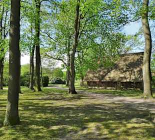Eindrücke aus dem Walter-Peters-Park