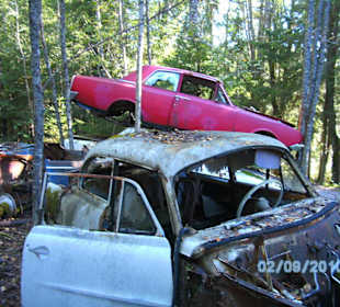 Autofriedhof am Foxen
