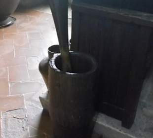 Möser in der Küche