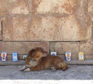 Ob wir hier wohl den Maler haben?