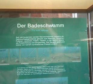 Meeresmuseum Stralsund