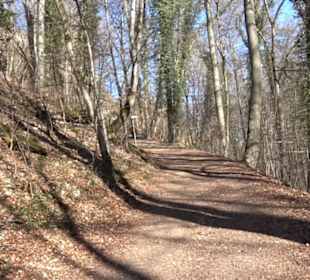 Wandertour Eppenzill