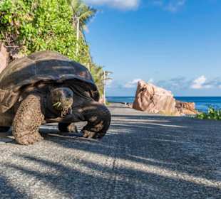 L'Union Estate Naturschutzpark