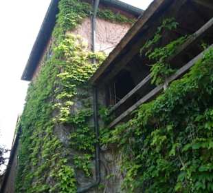 Spaziergang entlang der Stadtbefestigung