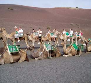 Lanzarote: Timanfaya Nationalpark