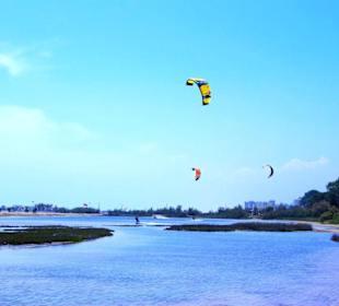Strand Bibione 06_2011