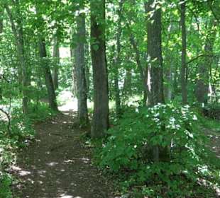 Premiumwanderweg "hochgelegen"