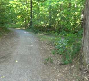 Naturschutzgebiet Grafenberg Kayh