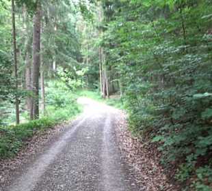 Wanderweg - Alter Steinbruch Pfaffenberg Runde
