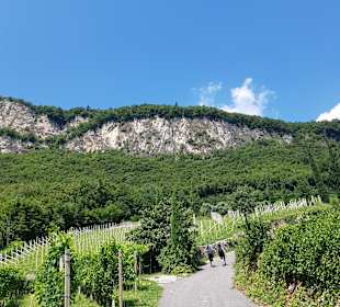 Wandern Cortina sulla Strada del Vino / Kurtinig an der Wein