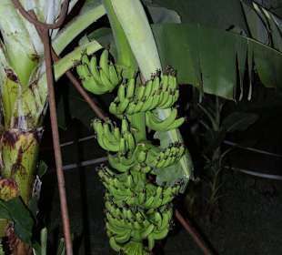 Alanya Gemeinde (Park)