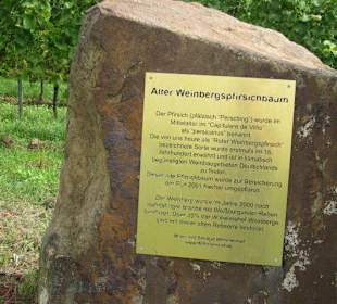 Kulinarische Weinbergswanderung