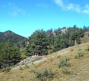 Tempel Aglag Buteelin Khiid