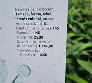 Botanischer Garten Puerto de la Cruz