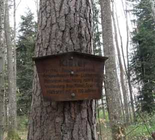 Vitus Mayer Waldlehrpfad