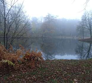 Herbstnebel im Bremer Bürgerpark