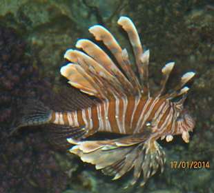 Красота в море