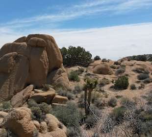 Joshua Tree National Park
