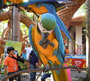 Warten auf Touristen