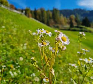 Wandern St. Johann im Pongau