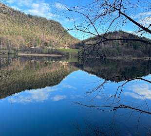 Thumsee