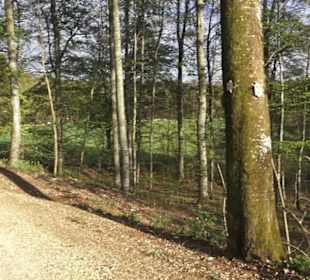 Wanderweg Hochgehswiggert