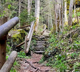 Steinstufen 