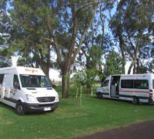 Naturnahes Schlafen - ein Traum