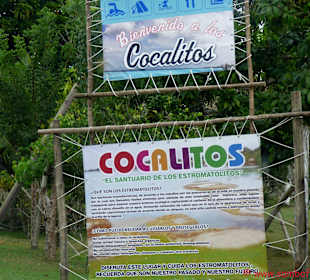 Lagune Bacalar