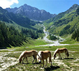 Wandern Obertilliach
