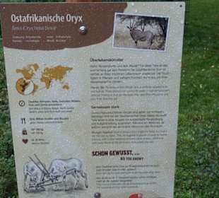 Tierpark 