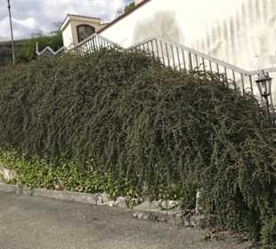 Filialkirche St. Georg