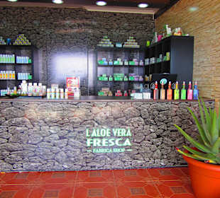 Aloe Vera Infocenter Fuerteventura - Morro Jable