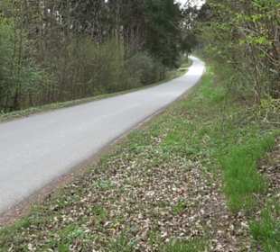 Vitus Mayer Waldlehrpfad