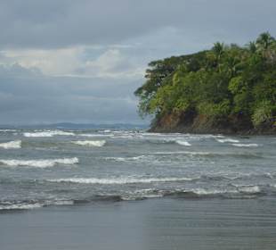 Inselrundfahrt Santa Catalina