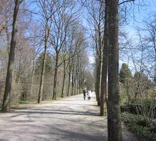 Schlossgarten Schwetzingen