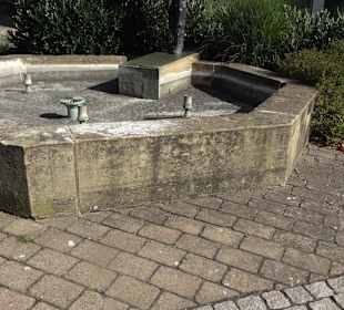 Narrenbrunnen Eutingen im Gäu