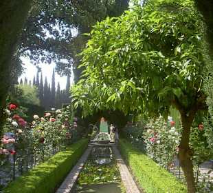 Los jardines de la Alhambra