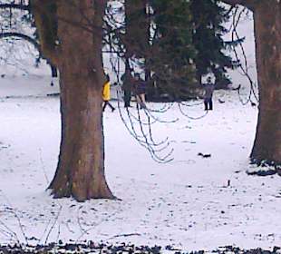 Łazienki wczesną wiosną.