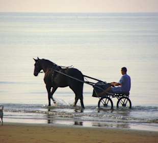 Strand in Bibione Juni 2012
